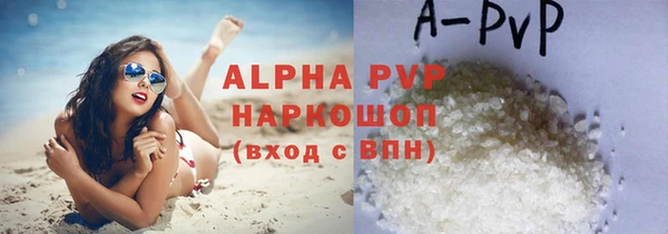 ПСИЛОЦИБИНОВЫЕ ГРИБЫ Лихославль