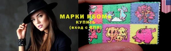 индика Бронницы