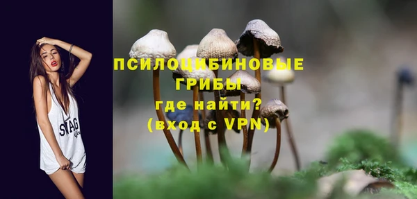 прущий лед Липки