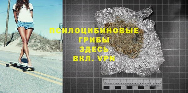 ПСИЛОЦИБИНОВЫЕ ГРИБЫ Лихославль