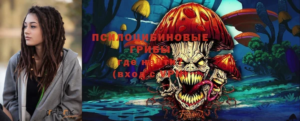 прущий лед Липки