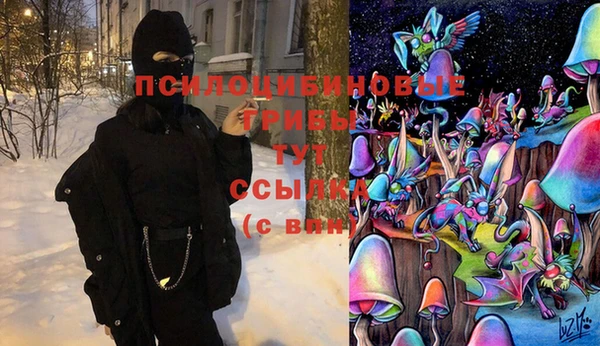 ПСИЛОЦИБИНОВЫЕ ГРИБЫ Лихославль