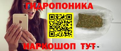 гидропоника Кандалакша