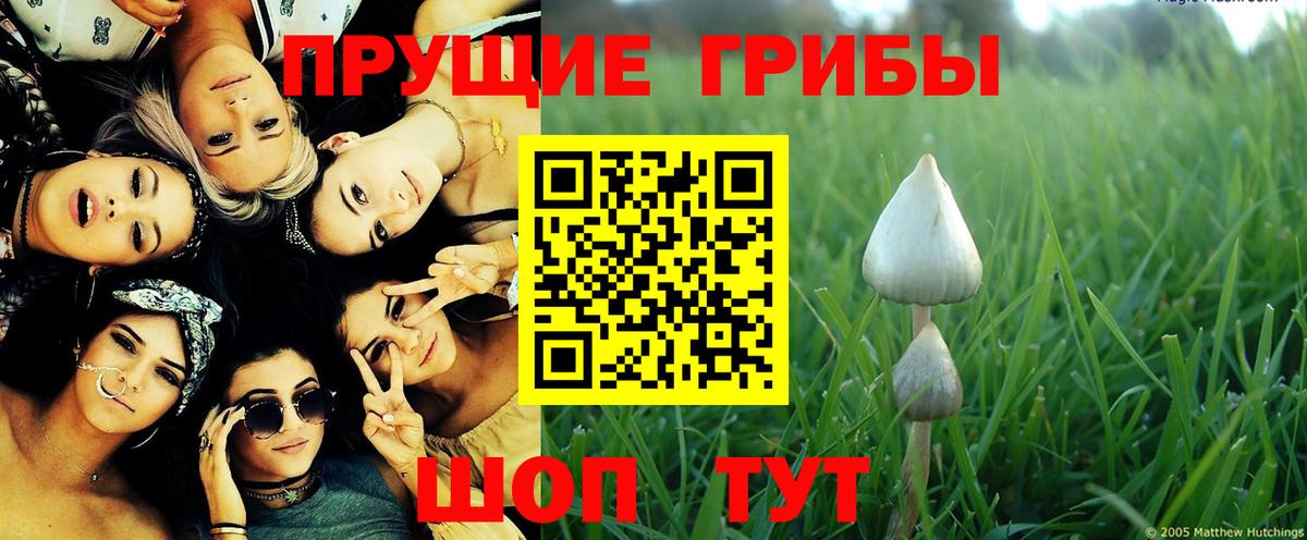 Галлюциногенные грибы Psilocybe Дюртюли