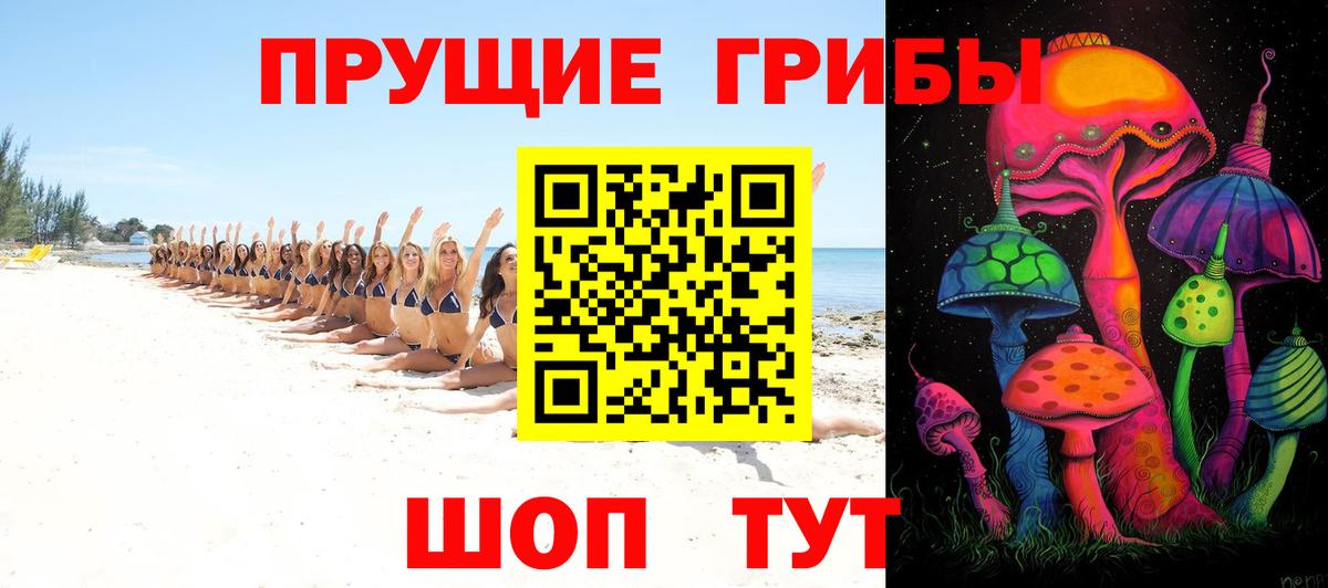 Дюртюли  Псилоцибиновые грибы прущие грибы  Вход с VPN 